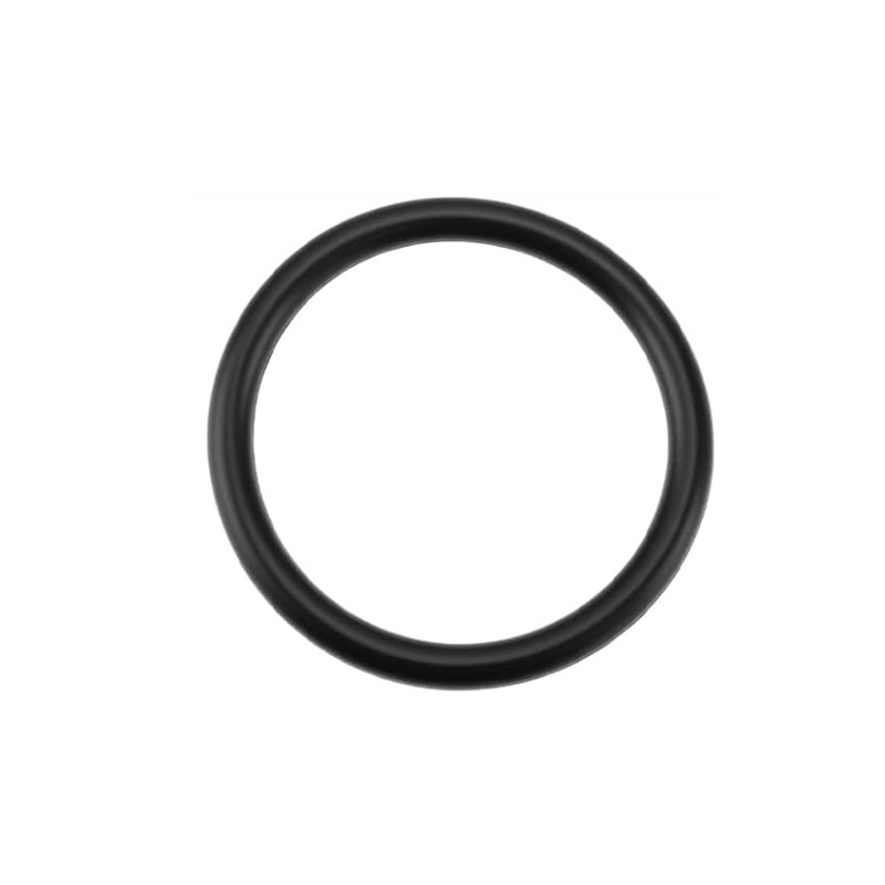 1 st 55582541 Olie Cap Afdicht - Tank O-Ring Seal recensie en prijs
